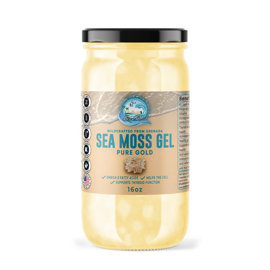 Sea Moss Gel – Pure Gold