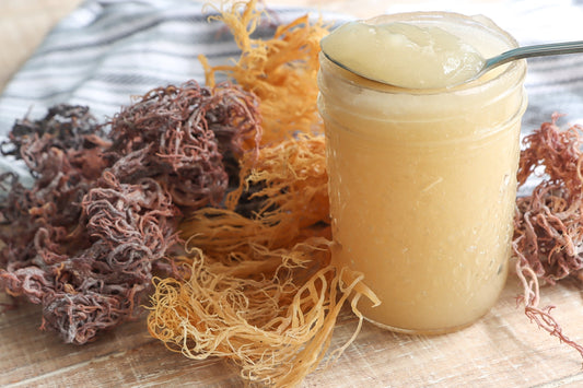MAKE SEA MOSS GEL USING THESE 4 EASY STEPS
