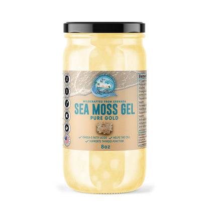 Sea Moss Gel – Pure Gold