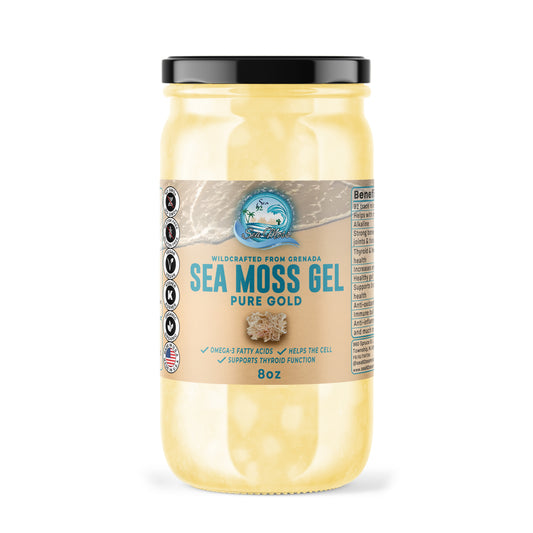Sea Moss Gel – Pure Gold