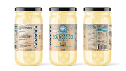 Sea Moss Gel – Pure Gold