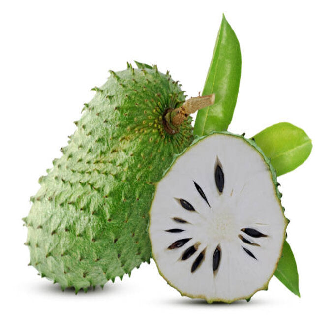 SEA MOSS GEL WITH SOURSOP