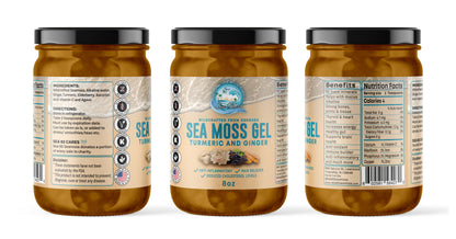 Turmeric & Ginger Sea Moss Gel